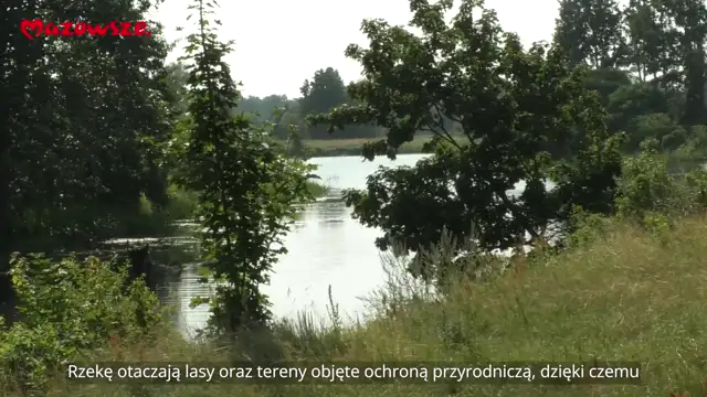 Informacje z Mazowsza 163 - 14.08.2026